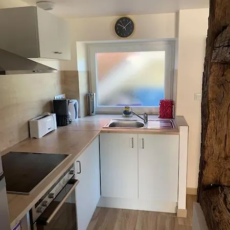 T3 Neuf - Maison Alsacienne Au Calme Avec Cour Privee *