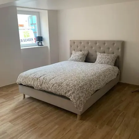 T3 Neuf - Maison Alsacienne Au Calme Avec Cour Privee *