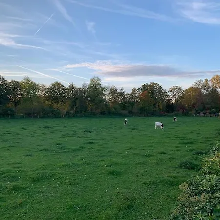 アパート T3 Neuf - Maison Alsacienne Au Calme Avec Cour Privee