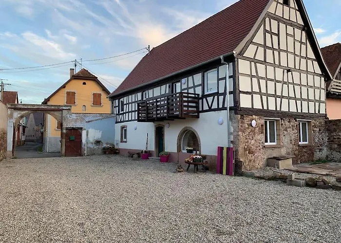 T3 Neuf - Maison Alsacienne Au Calme Avec Cour Privee Appartement Dachstein